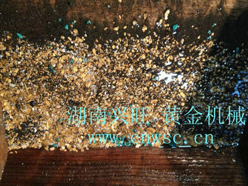 黃金豐收-2013.2 黃金豐收-2013.2