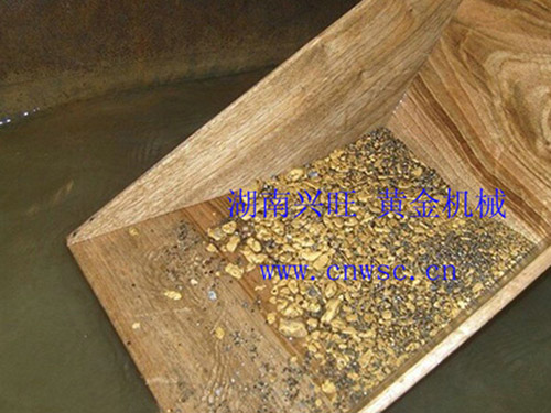 黃金豐收 黃金豐收