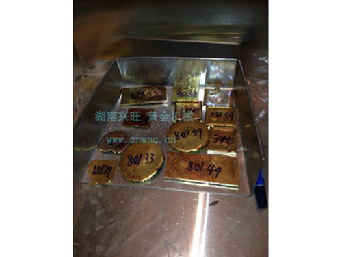 黃金豐收2013.1 黃金豐收2013.1