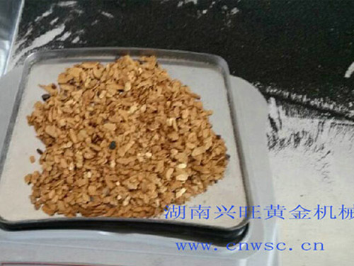 黃金豐收168號 黃金豐收168號