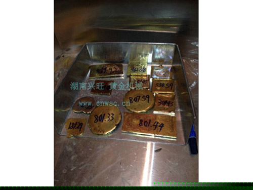 黃金豐收2013.1 黃金豐收2013.1