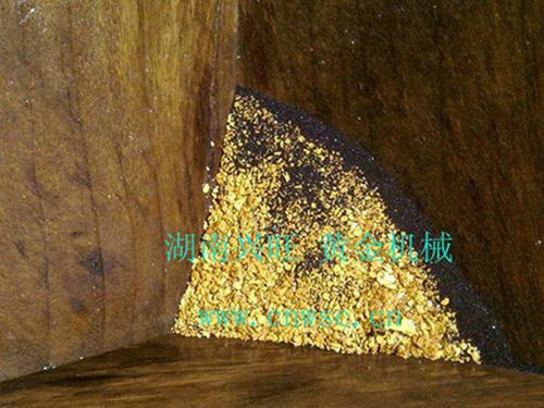 黃金豐收2013.4 黃金豐收2013.4