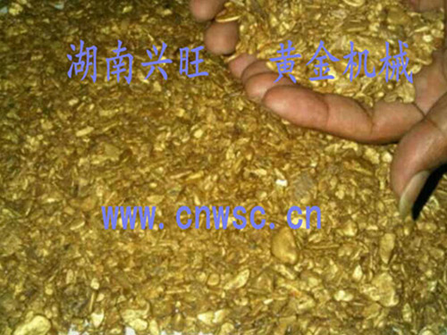 黃金豐收2015-1 黃金豐收2015-1