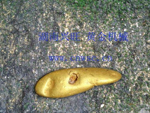 黃金豐收-付 黃金豐收-付