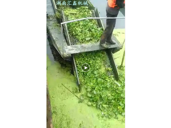 4-水浮蓮打撈船 4-水浮蓮打撈船